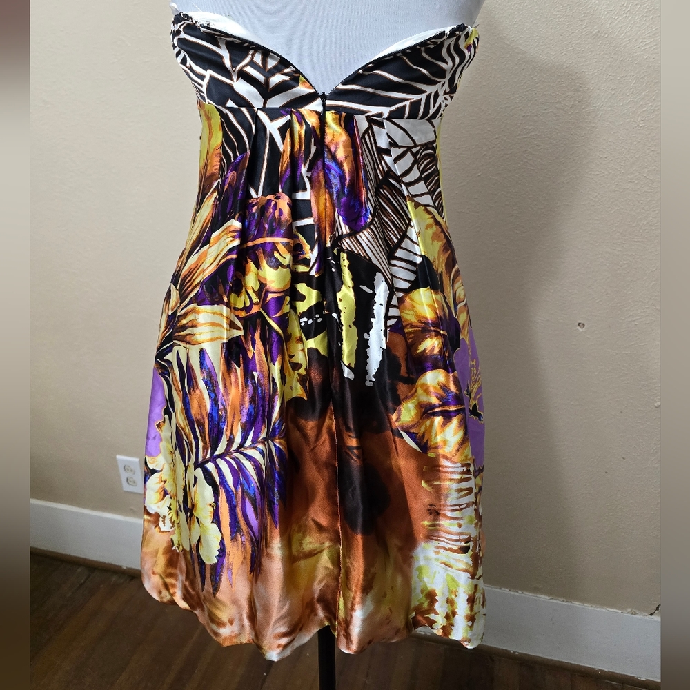 Cache Silk Dress - Picture 6 of 10